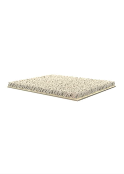 Carpet Animation